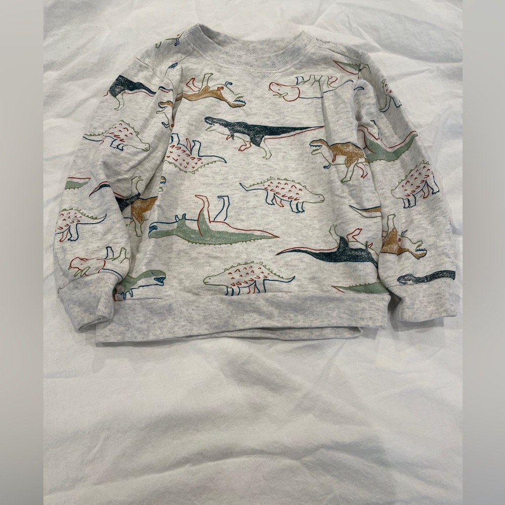 Carter's Little Boys Dinosaur Pullover, 3T